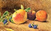 Hill, John William Study of Fruit china oil painting reproduction